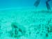 8667192-R1-036-16A